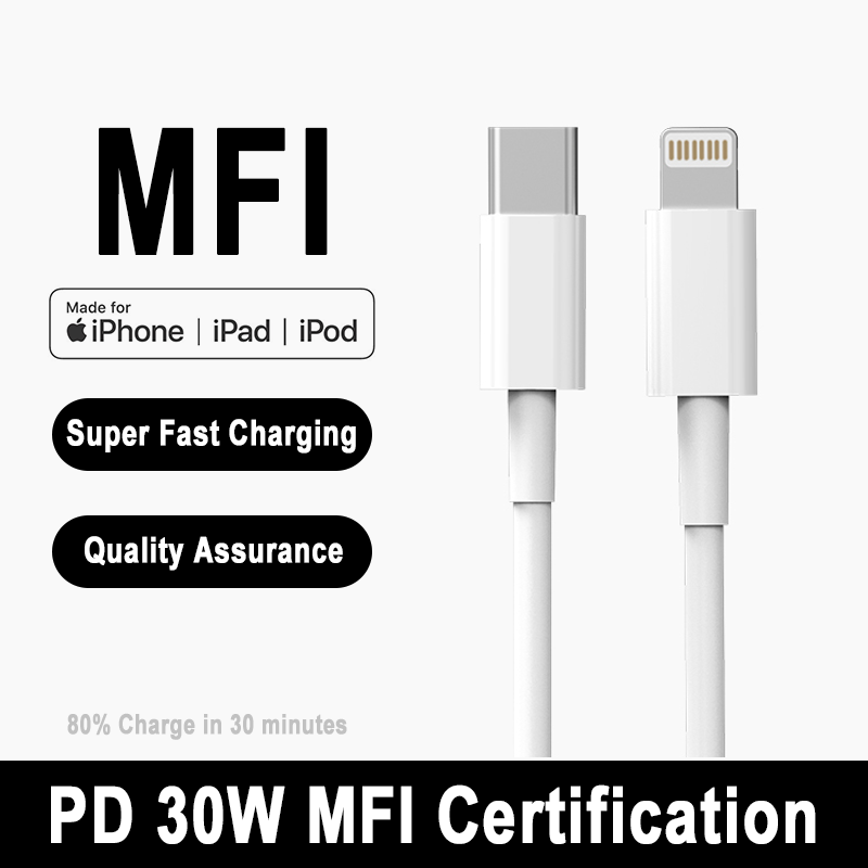 PD 30 واط لابل آيفون نوع C إلى - مراجعة Tech Accessories Apple وسعره